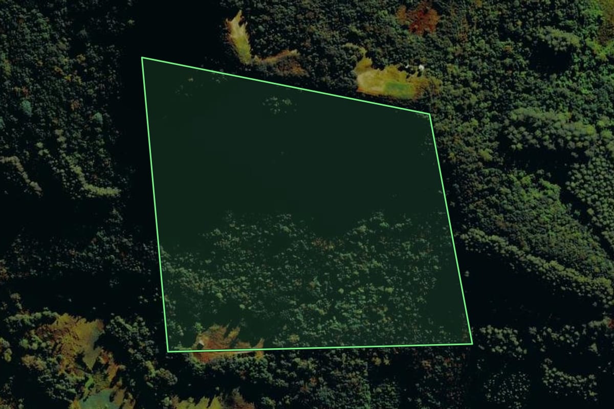 Imagem de satélite do imóvel rural em Carlos Barbosa (RS), com o contorno declarado no CAR desenhado por cima.
