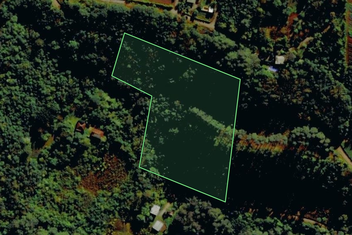 Imagem de satélite do imóvel rural em Carlos Barbosa (RS), com o contorno declarado no CAR desenhado por cima.