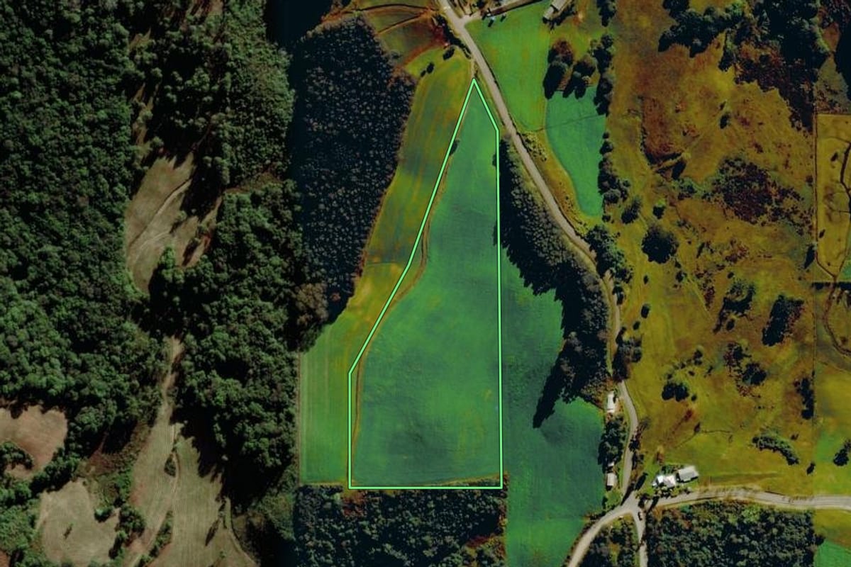 Imagem de satélite do imóvel rural em Carlos Barbosa (RS), com o contorno declarado no CAR desenhado por cima.