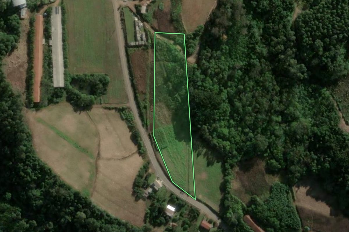 Imagem de satélite do imóvel rural em Carlos Barbosa (RS), com o contorno declarado no CAR desenhado por cima.