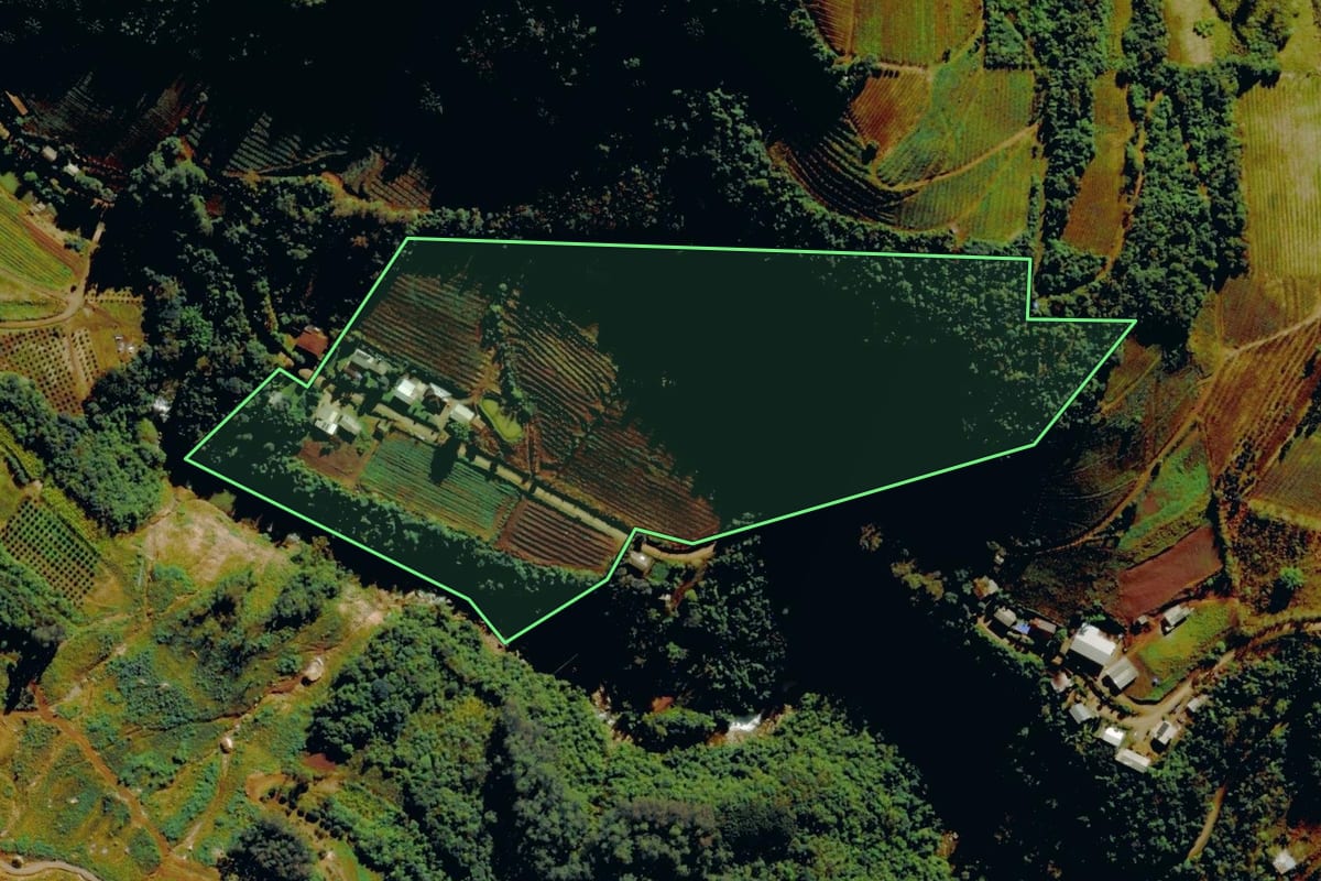 Imagem de satélite do imóvel rural em Carlos Barbosa (RS), com o contorno declarado no CAR desenhado por cima.