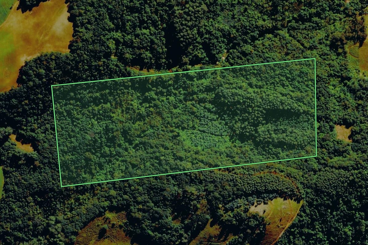 Imagem de satélite do imóvel rural em Carlos Barbosa (RS), com o contorno declarado no CAR desenhado por cima.