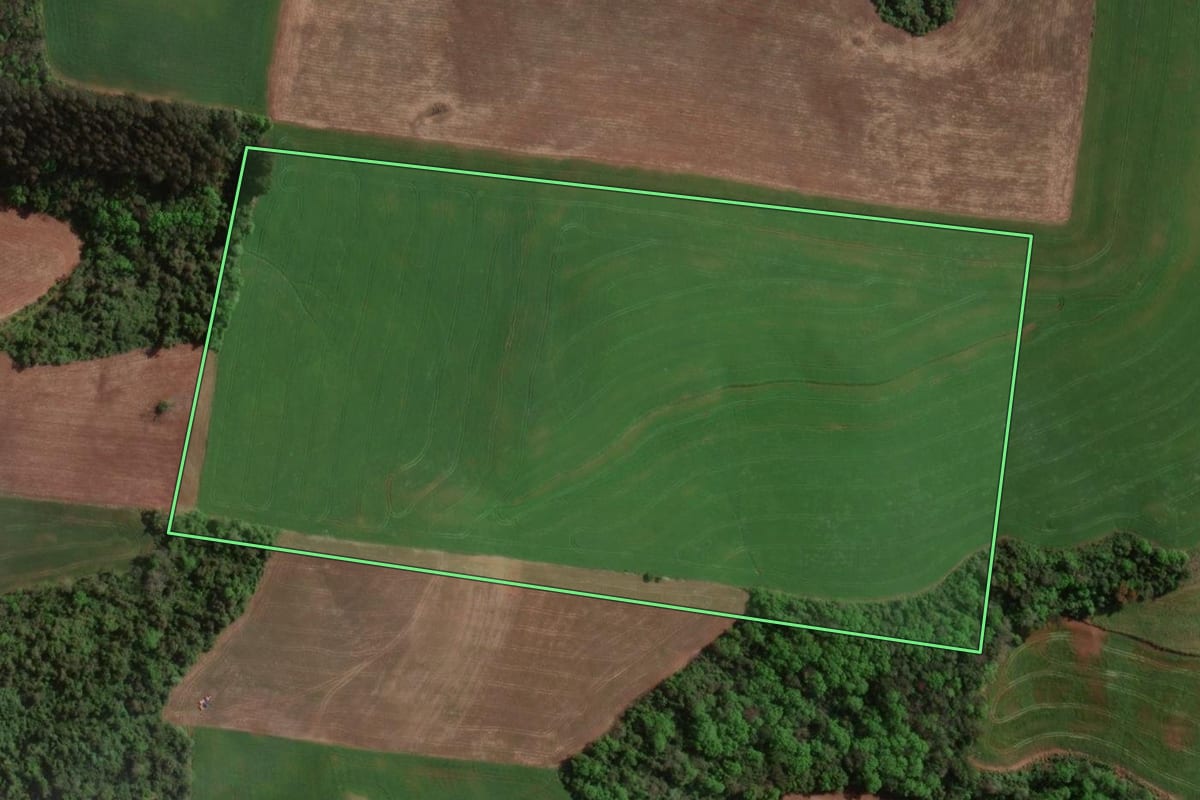 Imagem de satélite do imóvel rural em Carlos Gomes (RS), com o contorno declarado no CAR desenhado por cima.