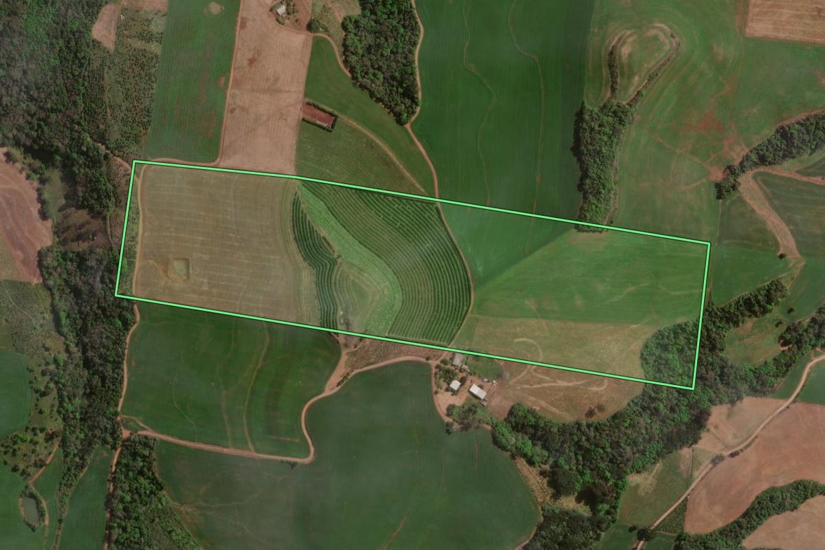 Imagem de satélite do imóvel rural em Carlos Gomes (RS), com o contorno declarado no CAR desenhado por cima.