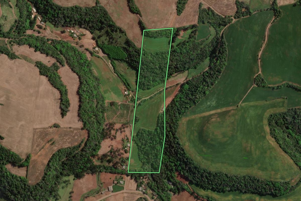 Imagem de satélite do imóvel rural em Carlos Gomes (RS), com o contorno declarado no CAR desenhado por cima.