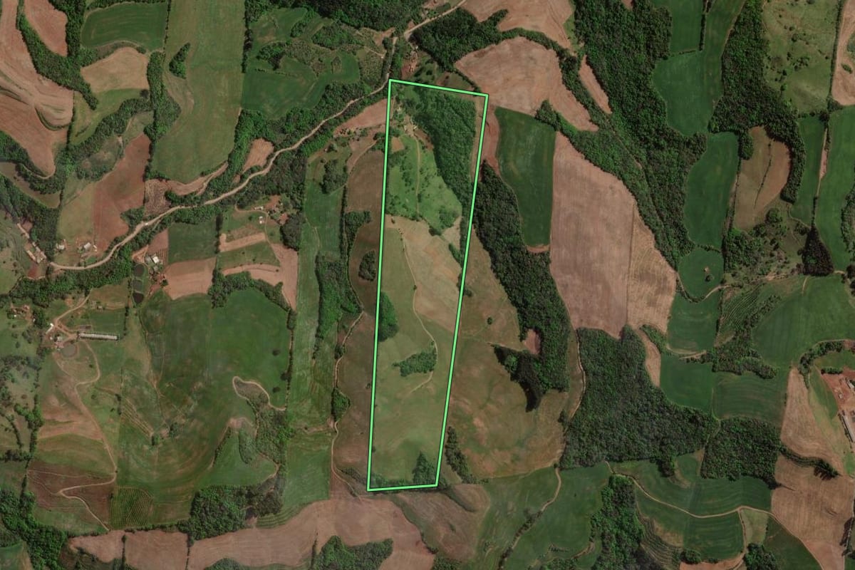 Imagem de satélite do imóvel rural em Carlos Gomes (RS), com o contorno declarado no CAR desenhado por cima.