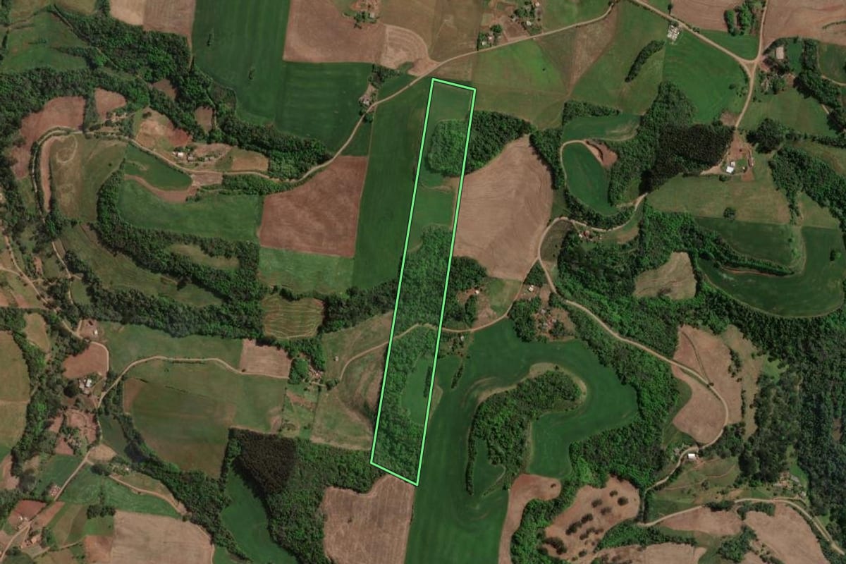 Imagem de satélite do imóvel rural em Carlos Gomes (RS), com o contorno declarado no CAR desenhado por cima.