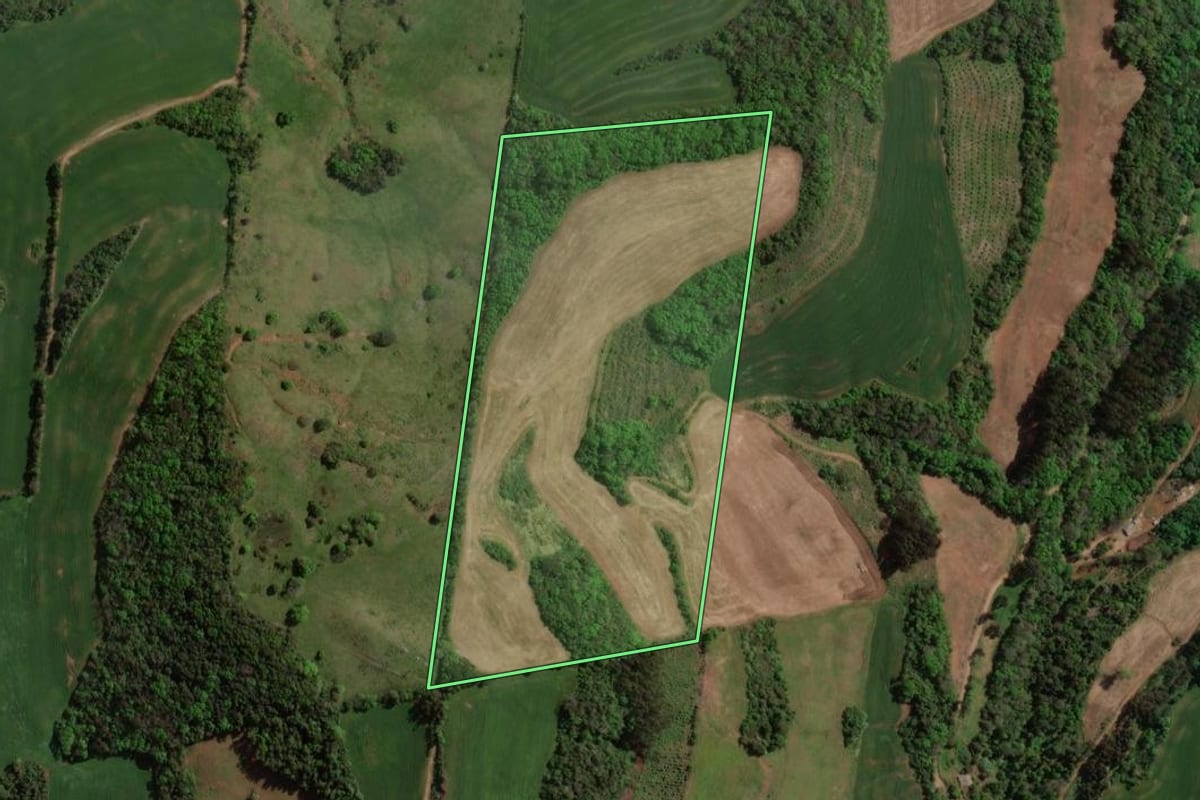 Imagem de satélite do imóvel rural em Carlos Gomes (RS), com o contorno declarado no CAR desenhado por cima.