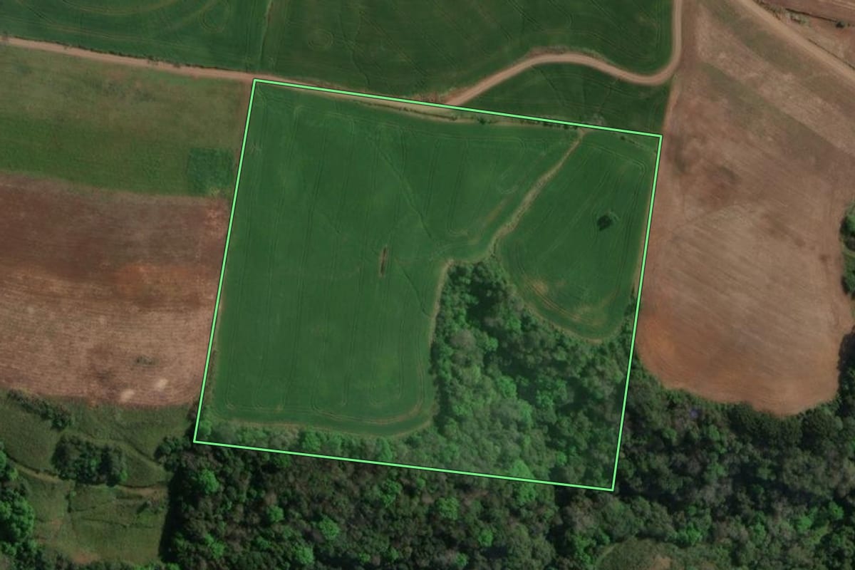 Imagem de satélite do imóvel rural em Carlos Gomes (RS), com o contorno declarado no CAR desenhado por cima.