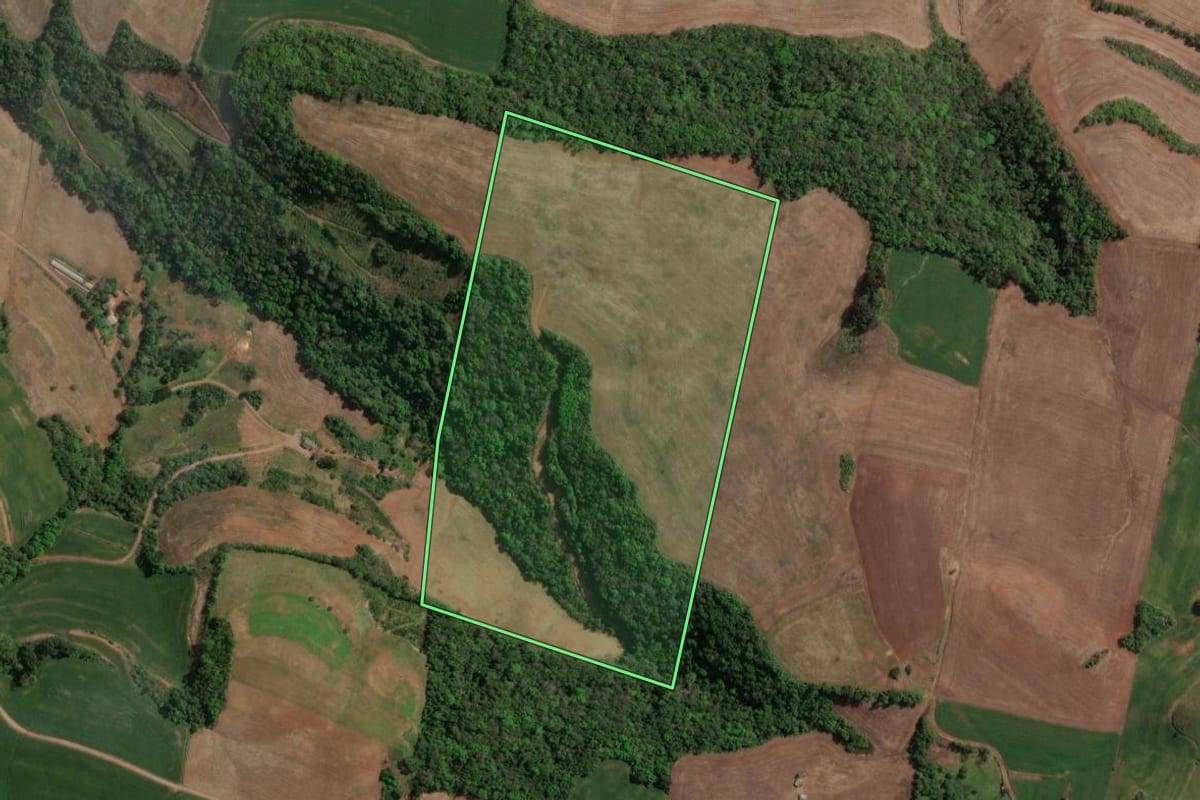Imagem de satélite do imóvel rural em Carlos Gomes (RS), com o contorno declarado no CAR desenhado por cima.