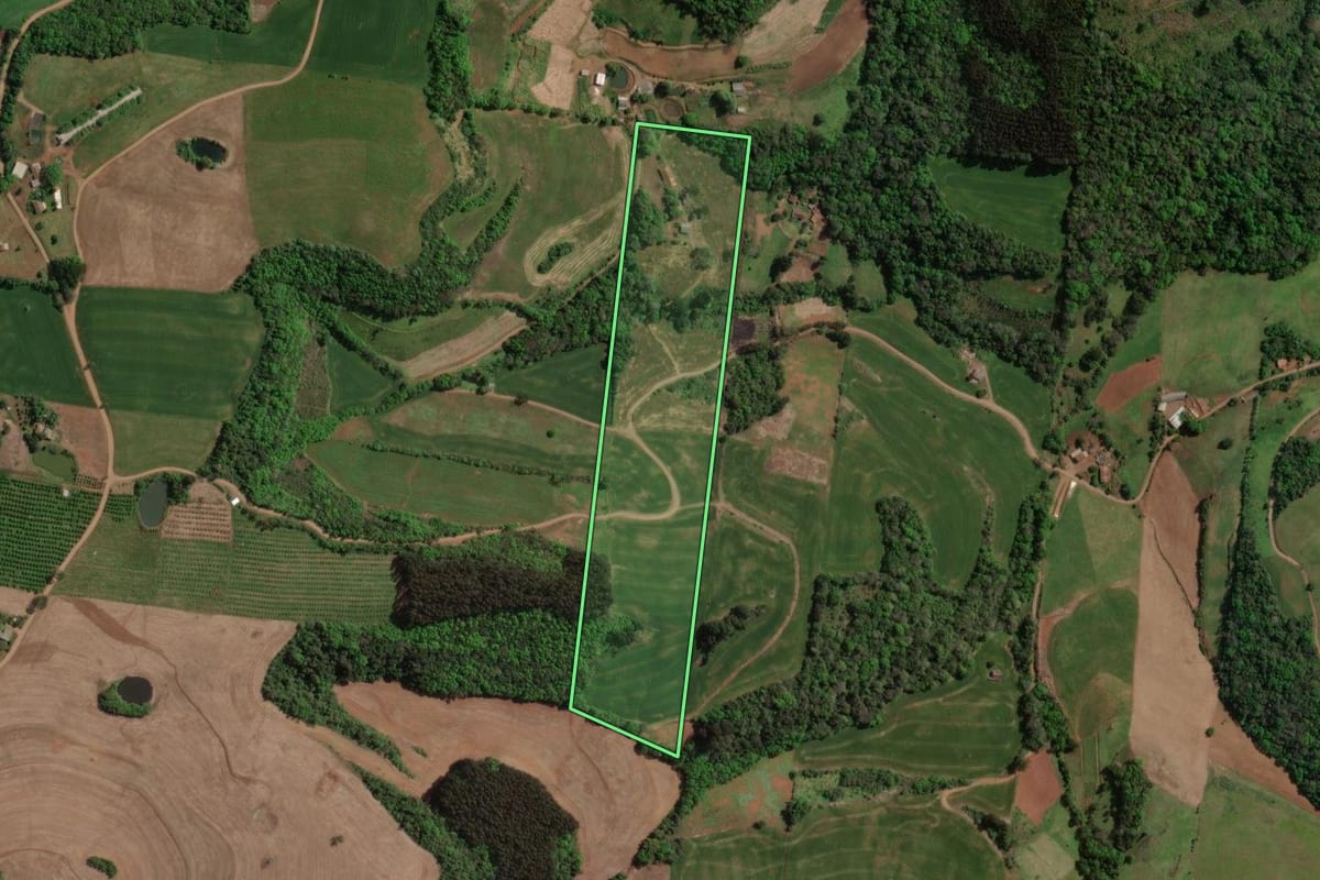 Imagem de satélite do imóvel rural em Carlos Gomes (RS), com o contorno declarado no CAR desenhado por cima.