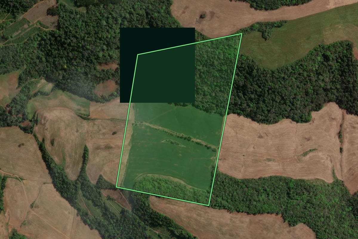 Imagem de satélite do imóvel rural em Carlos Gomes (RS), com o contorno declarado no CAR desenhado por cima.