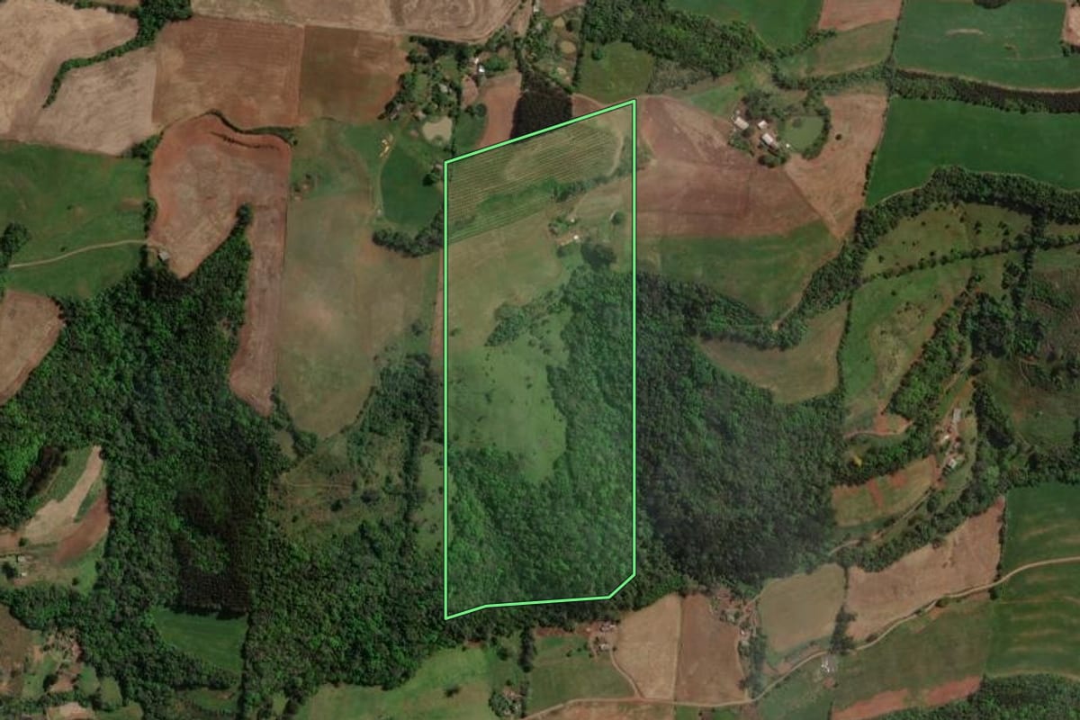 Imagem de satélite do imóvel rural em Carlos Gomes (RS), com o contorno declarado no CAR desenhado por cima.