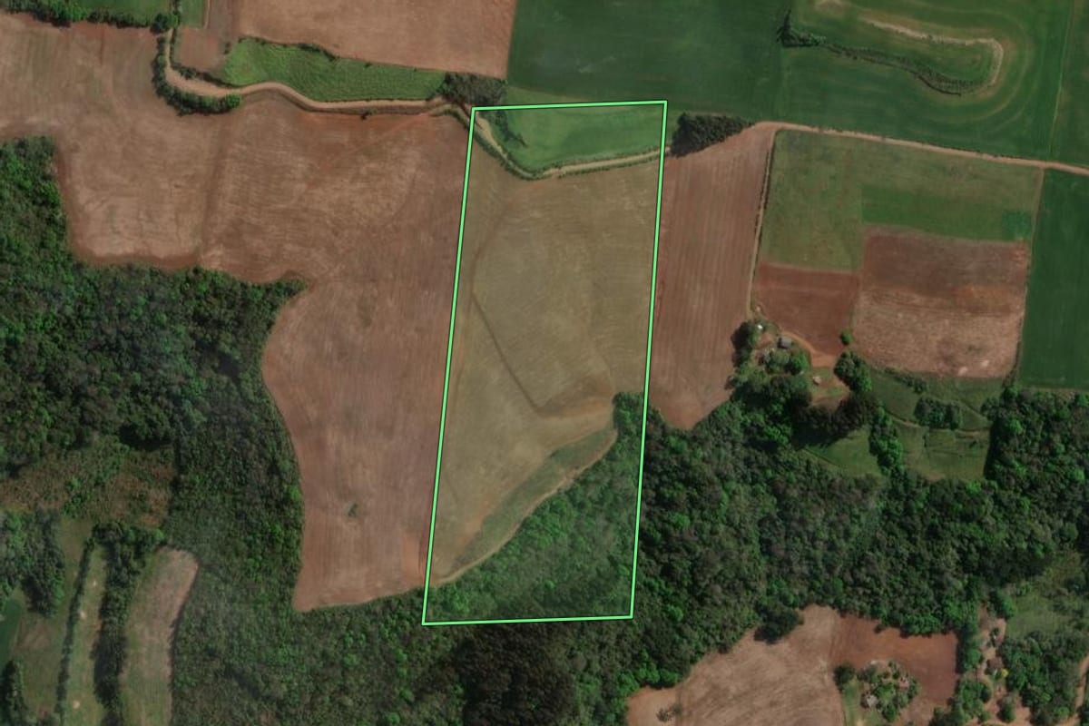Imagem de satélite do imóvel rural em Carlos Gomes (RS), com o contorno declarado no CAR desenhado por cima.