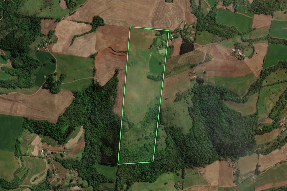 Imagem de satélite do imóvel rural em Carlos Gomes (RS), com o contorno declarado no CAR desenhado por cima.