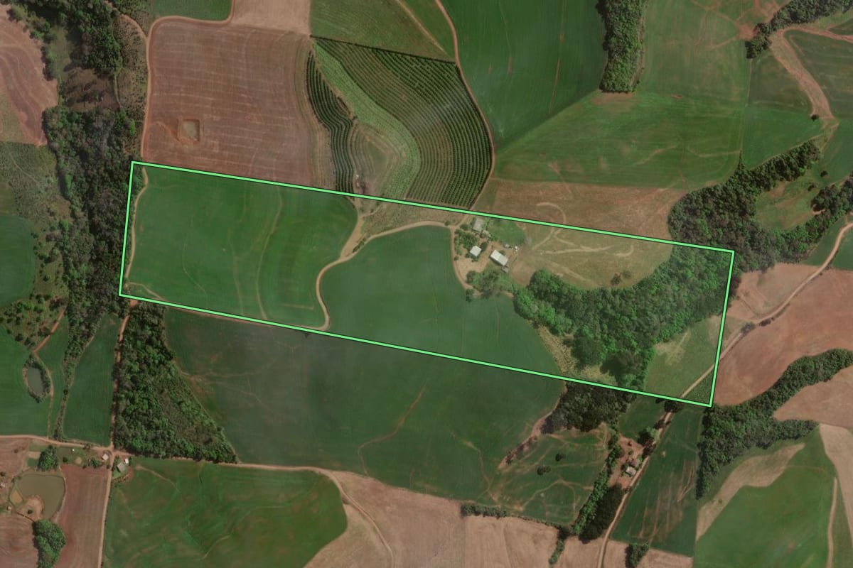 Imagem de satélite do imóvel rural em Carlos Gomes (RS), com o contorno declarado no CAR desenhado por cima.