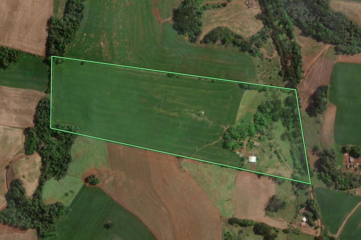 Imagem de satélite do imóvel rural em Carlos Gomes (RS), com o contorno declarado no CAR desenhado por cima.