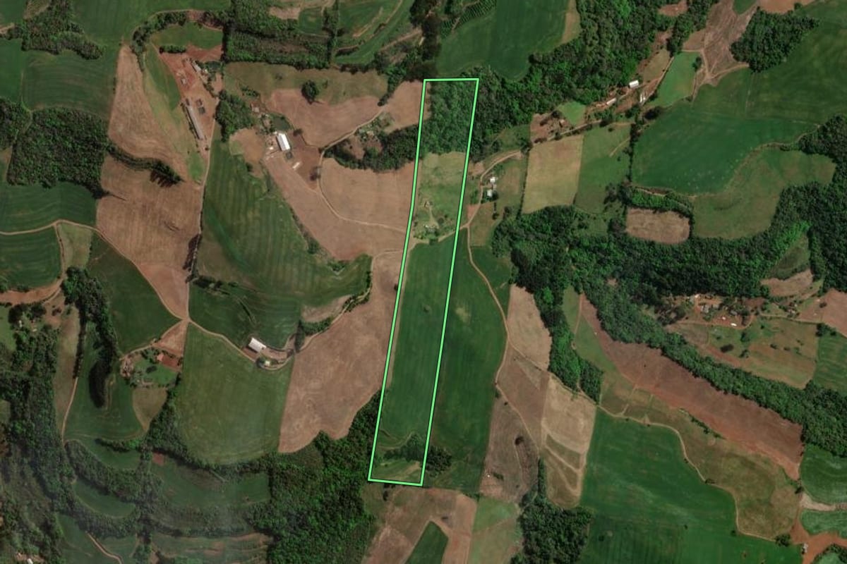 Imagem de satélite do imóvel rural em Carlos Gomes (RS), com o contorno declarado no CAR desenhado por cima.