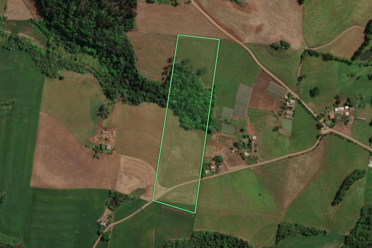 Imagem de satélite do imóvel rural em Carlos Gomes (RS), com o contorno declarado no CAR desenhado por cima.