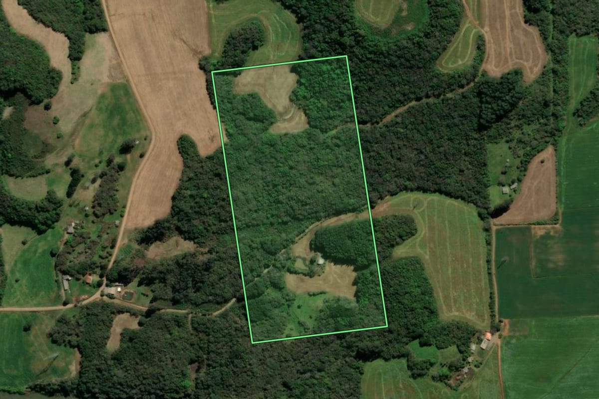 Imagem de satélite do imóvel rural em Casca (RS), com o contorno declarado no CAR desenhado por cima.