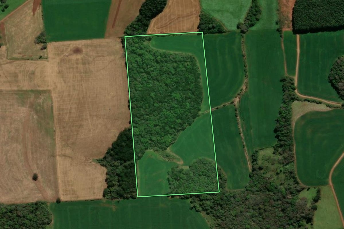 Imagem de satélite do imóvel rural em Casca (RS), com o contorno declarado no CAR desenhado por cima.