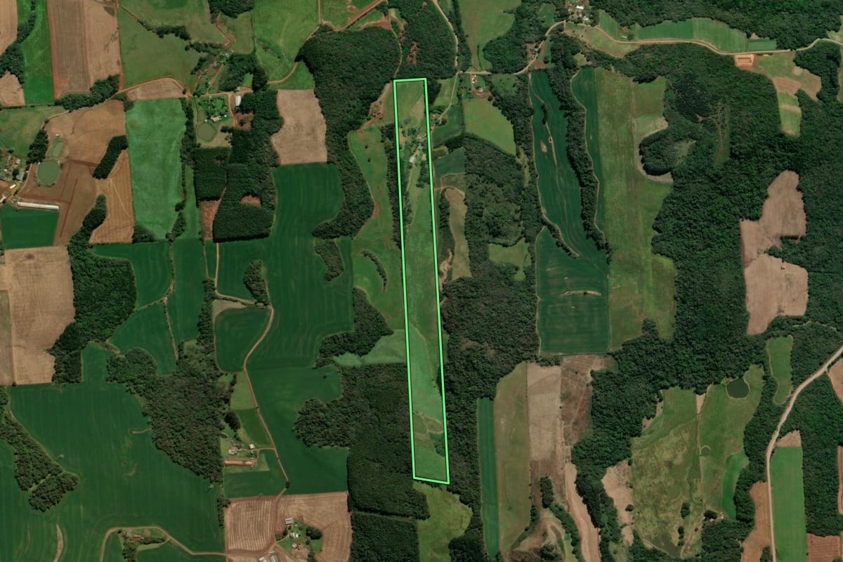 Imagem de satélite do imóvel rural em Casca (RS), com o contorno declarado no CAR desenhado por cima.