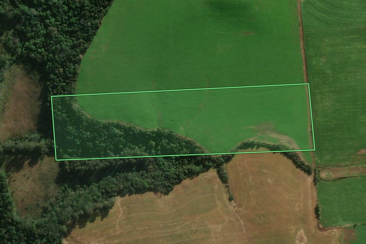 Imagem de satélite do imóvel rural em Casca (RS), com o contorno declarado no CAR desenhado por cima.