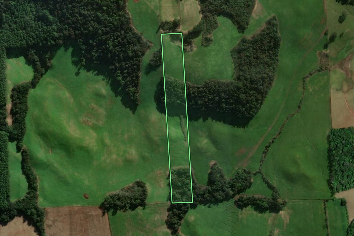 Imagem de satélite do imóvel rural em Casca (RS), com o contorno declarado no CAR desenhado por cima.