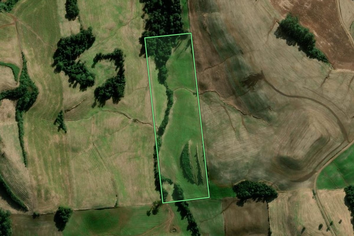 Imagem de satélite do imóvel rural em Casca (RS), com o contorno declarado no CAR desenhado por cima.