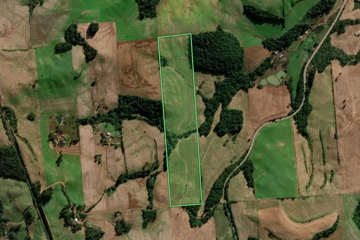 Imagem de satélite do imóvel rural em Casca (RS), com o contorno declarado no CAR desenhado por cima.