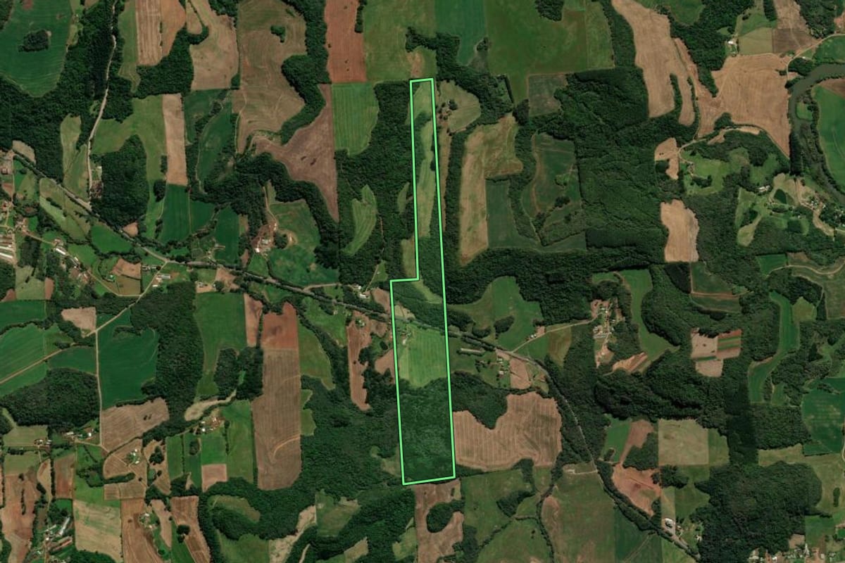 Imagem de satélite do imóvel rural em Casca (RS), com o contorno declarado no CAR desenhado por cima.