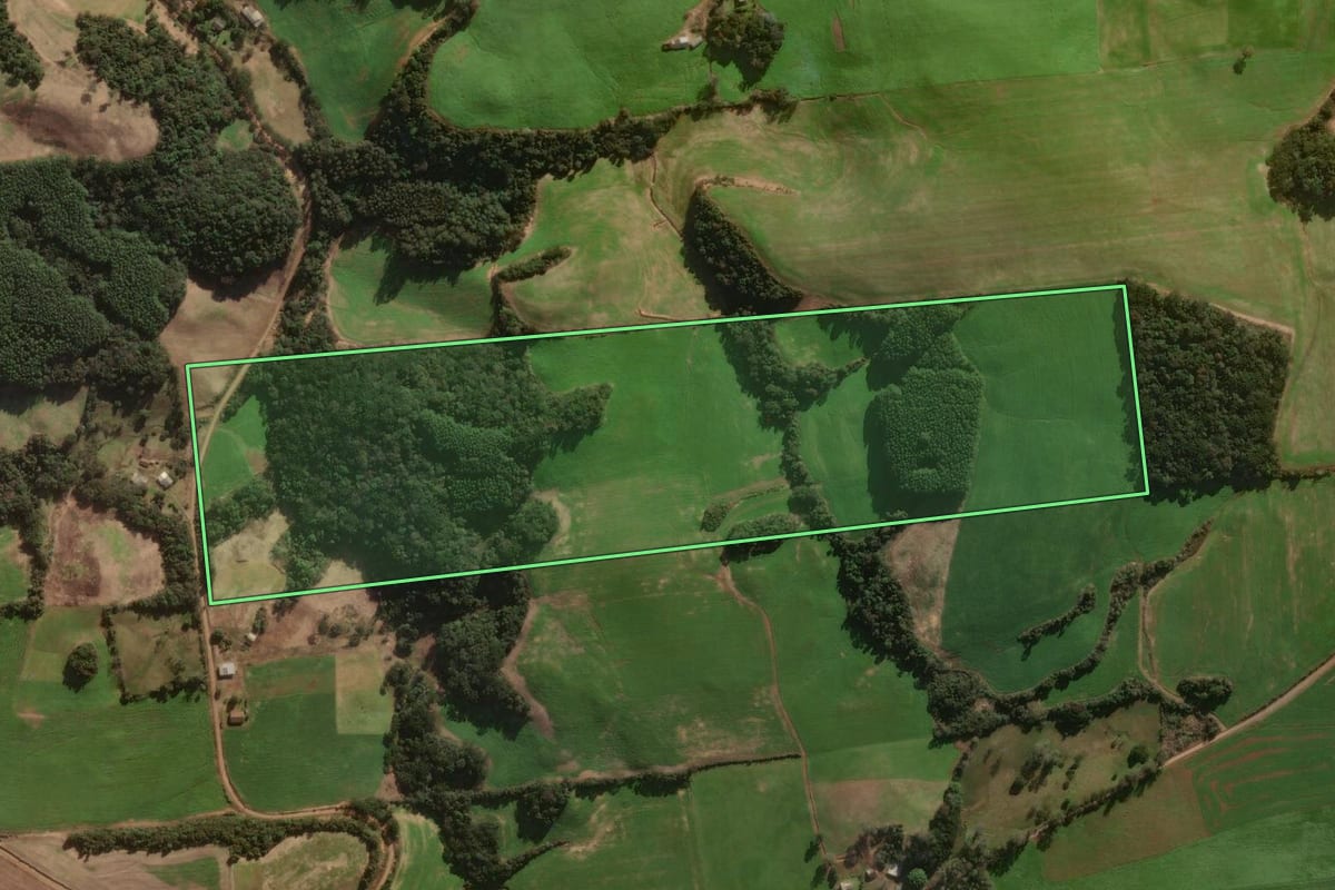 Imagem de satélite do imóvel rural em Casca (RS), com o contorno declarado no CAR desenhado por cima.