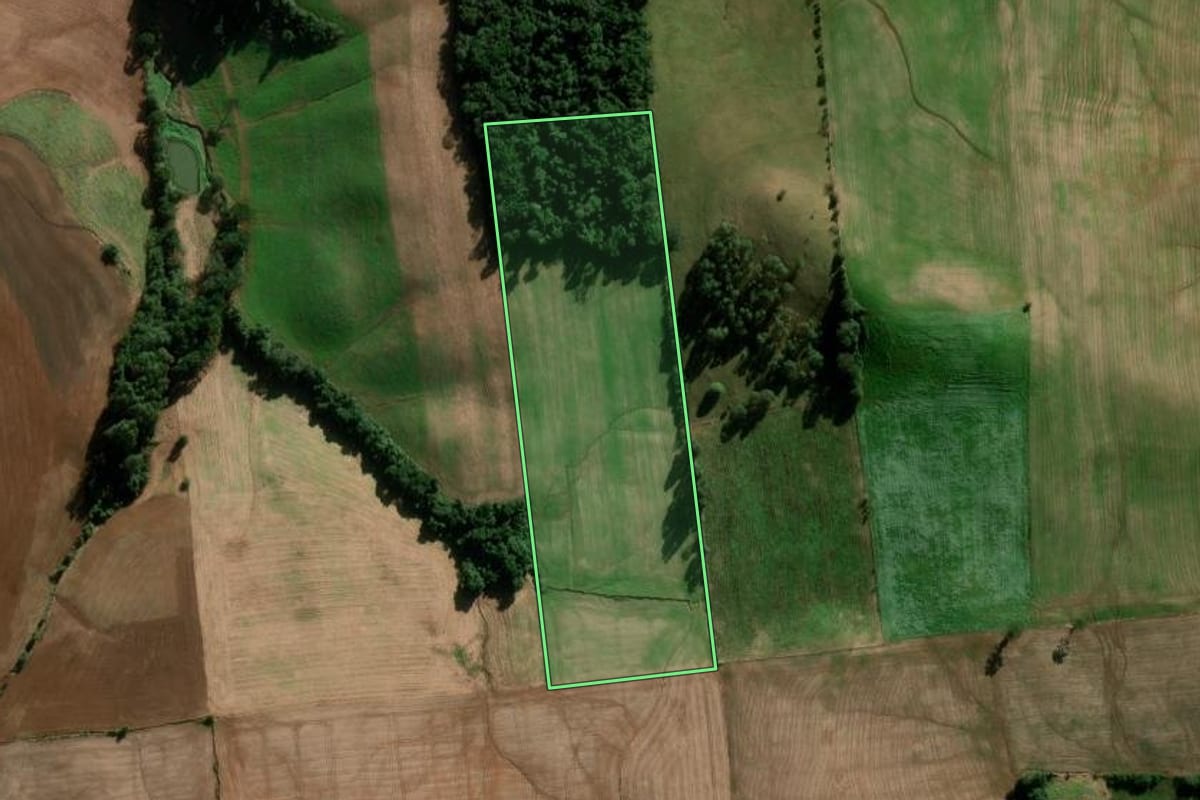 Imagem de satélite do imóvel rural em Casca (RS), com o contorno declarado no CAR desenhado por cima.