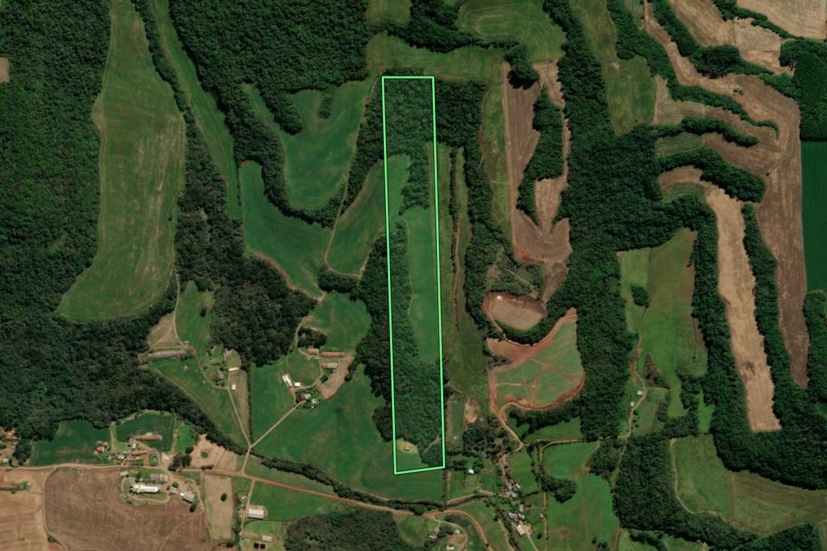 Imagem de satélite do imóvel rural em Casca (RS), com o contorno declarado no CAR desenhado por cima.