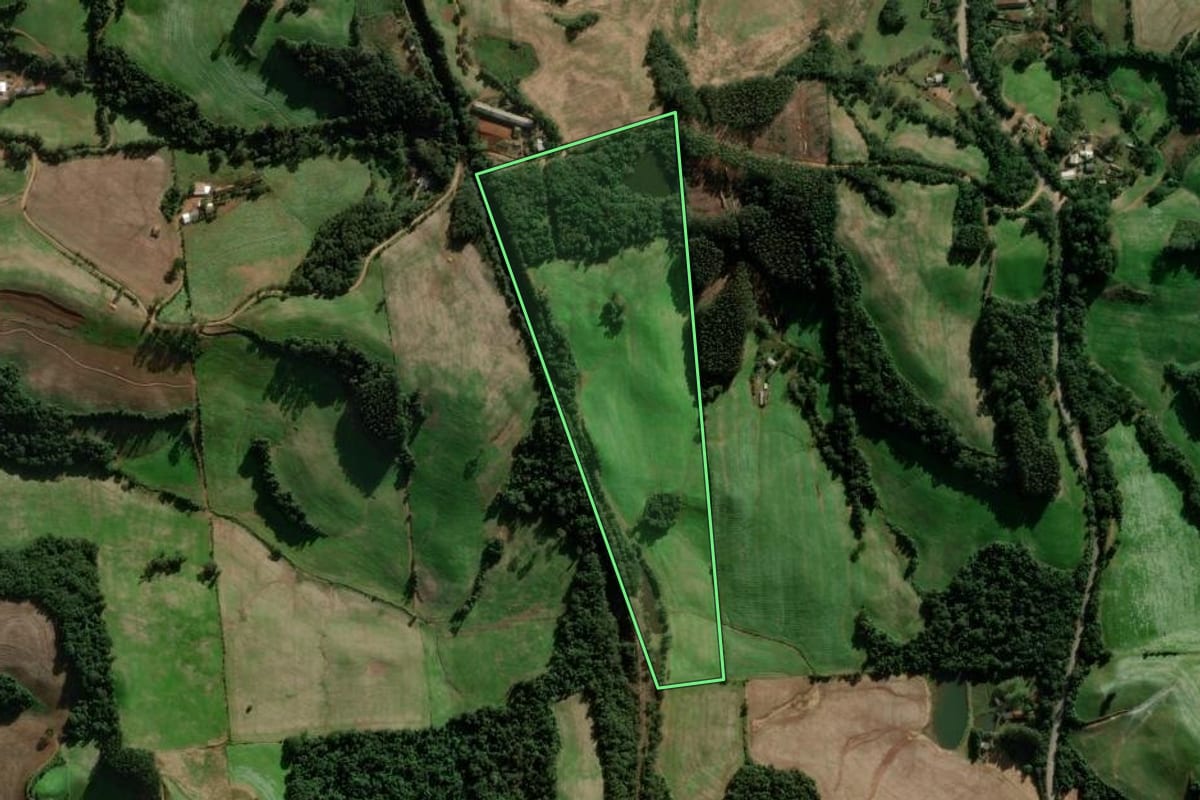 Imagem de satélite do imóvel rural em Casca (RS), com o contorno declarado no CAR desenhado por cima.