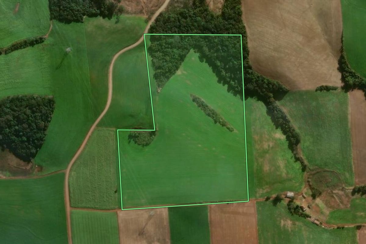 Imagem de satélite do imóvel rural em Casca (RS), com o contorno declarado no CAR desenhado por cima.