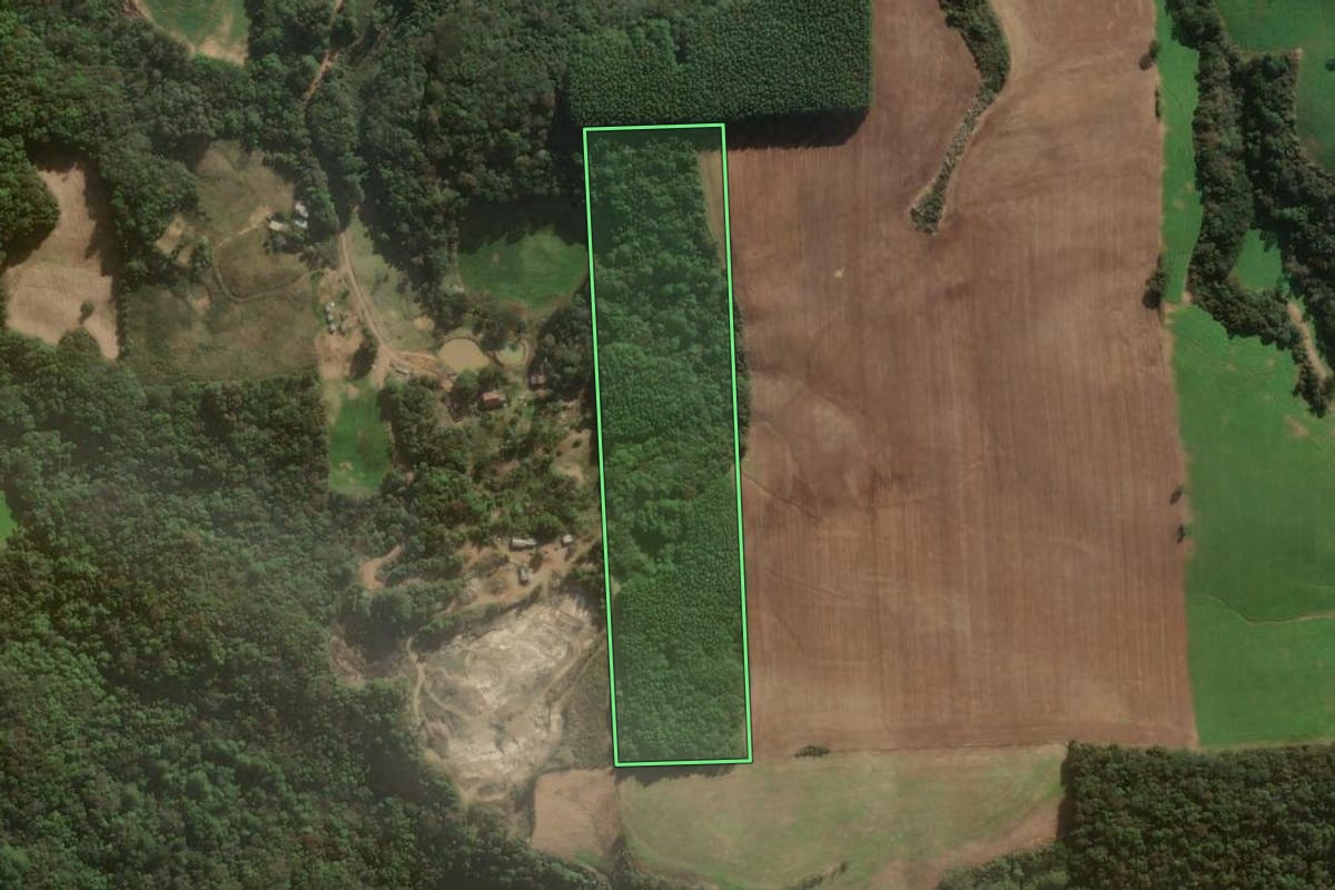Imagem de satélite do imóvel rural em Casca (RS), com o contorno declarado no CAR desenhado por cima.