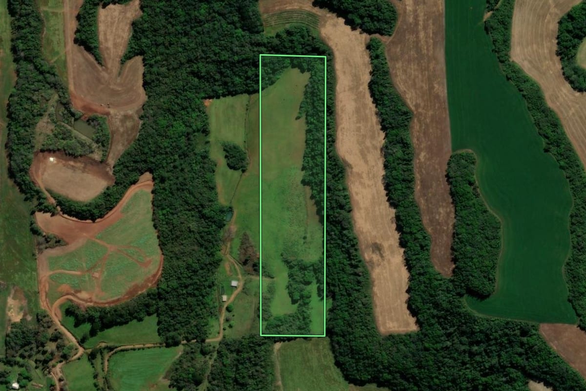 Imagem de satélite do imóvel rural em Casca (RS), com o contorno declarado no CAR desenhado por cima.