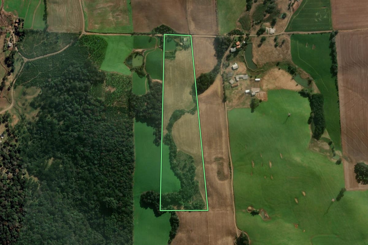 Imagem de satélite do imóvel rural em Casca (RS), com o contorno declarado no CAR desenhado por cima.