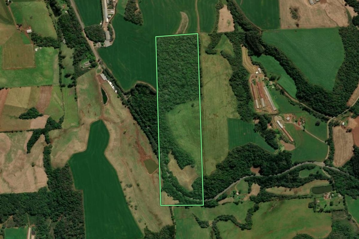 Imagem de satélite do imóvel rural em Casca (RS), com o contorno declarado no CAR desenhado por cima.