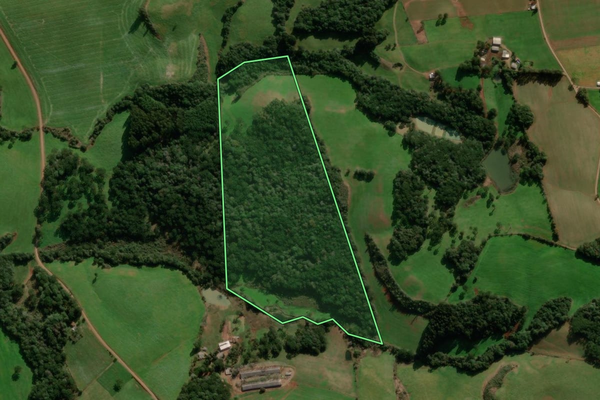 Imagem de satélite do imóvel rural em Caseiros (RS), com o contorno declarado no CAR desenhado por cima.