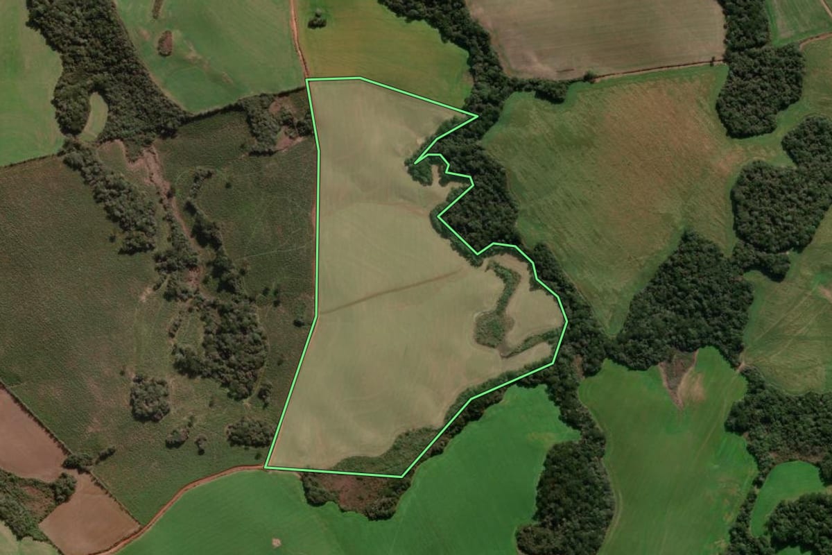 Imagem de satélite do imóvel rural em Caseiros (RS), com o contorno declarado no CAR desenhado por cima.