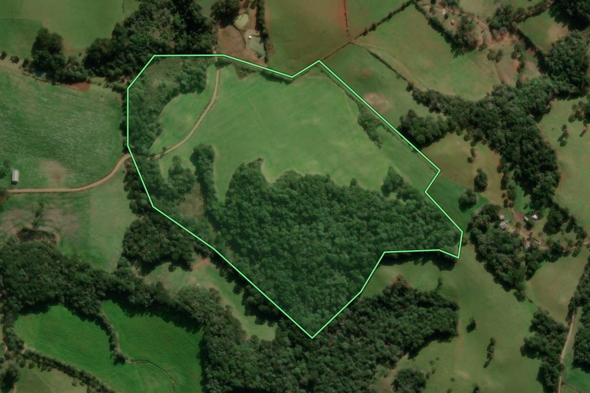 Imagem de satélite do imóvel rural em Caseiros (RS), com o contorno declarado no CAR desenhado por cima.