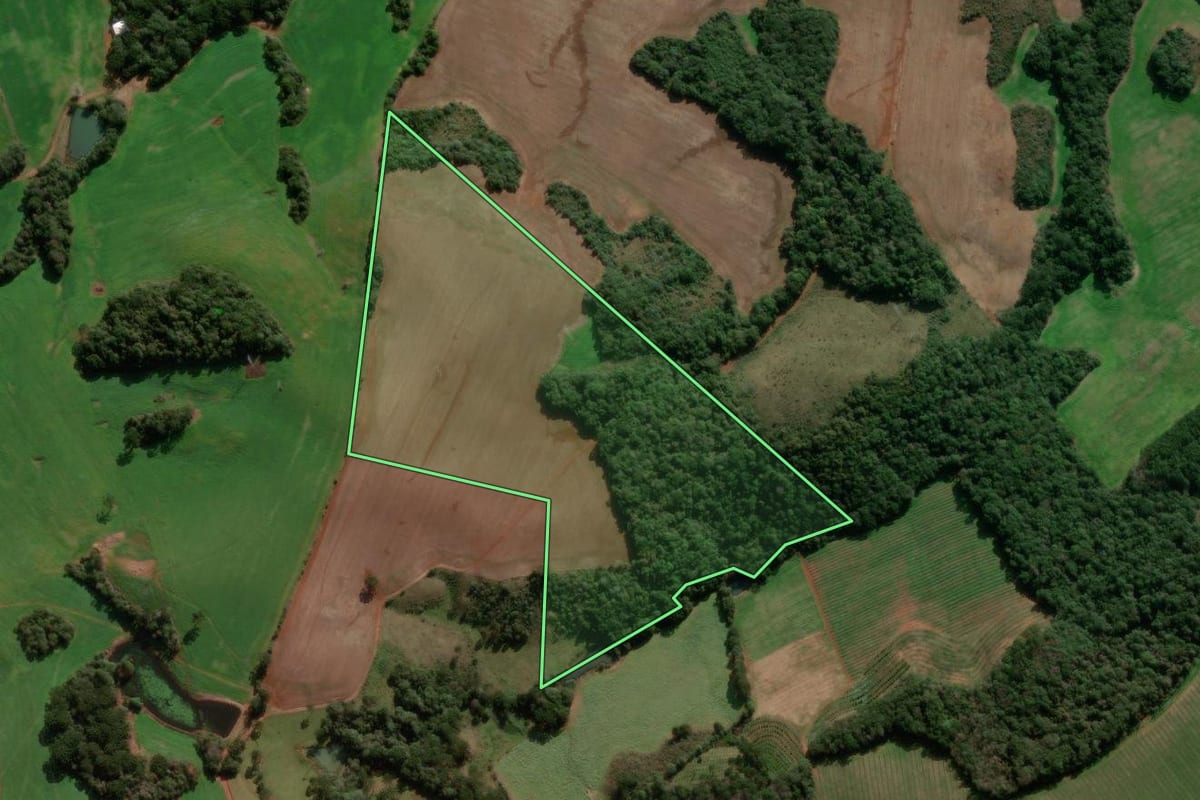 Imagem de satélite do imóvel rural em Caseiros (RS), com o contorno declarado no CAR desenhado por cima.