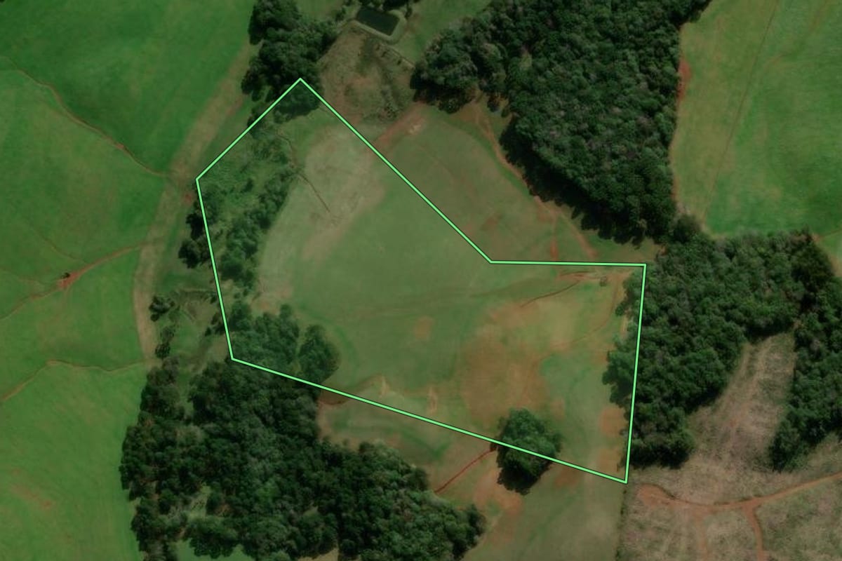 Imagem de satélite do imóvel rural em Caseiros (RS), com o contorno declarado no CAR desenhado por cima.