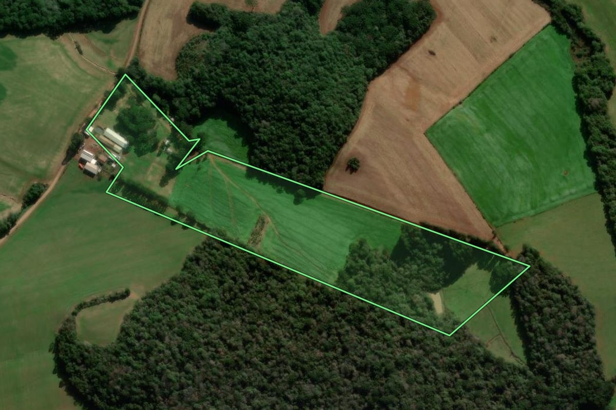 Imagem de satélite do imóvel rural em Caseiros (RS), com o contorno declarado no CAR desenhado por cima.