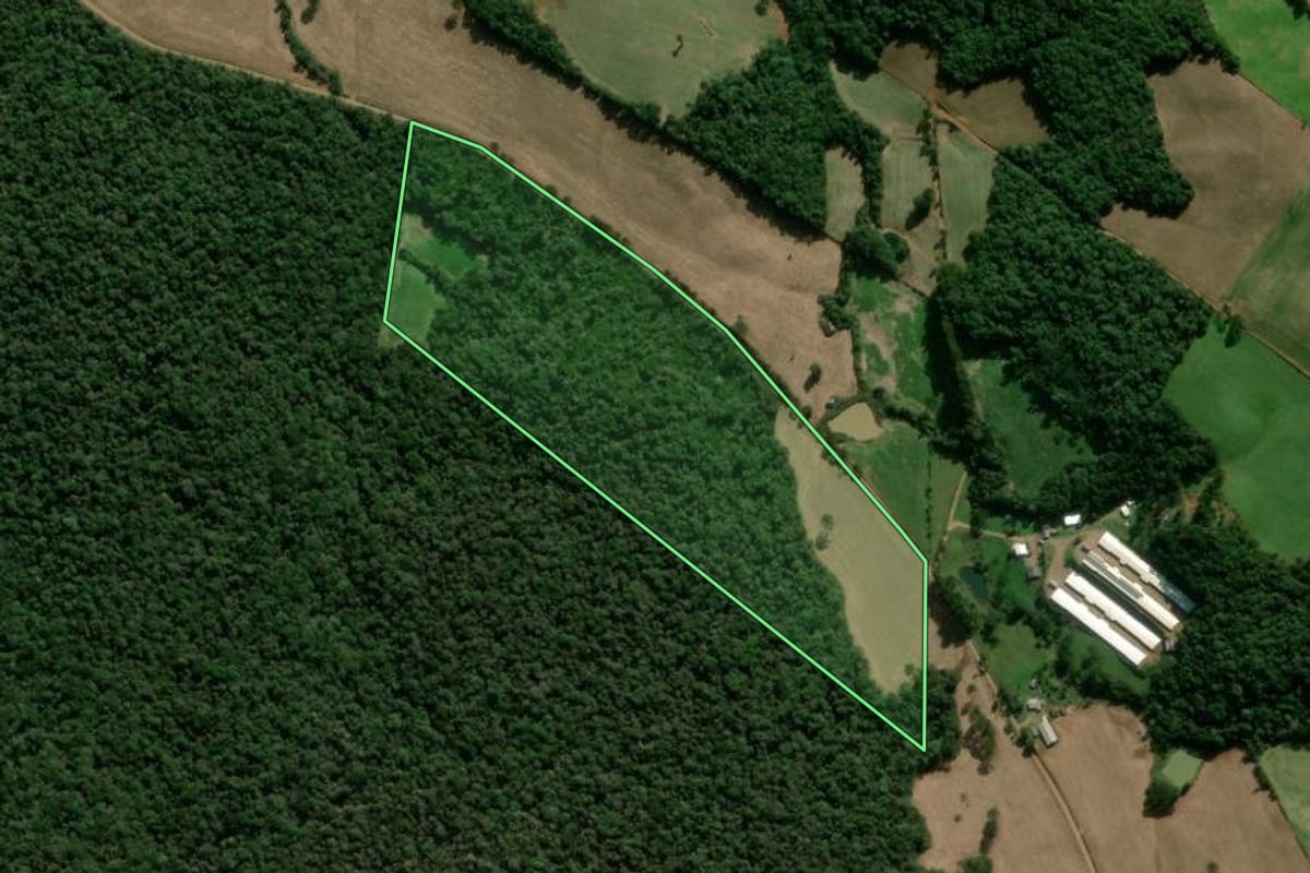 Imagem de satélite do imóvel rural em Caseiros (RS), com o contorno declarado no CAR desenhado por cima.