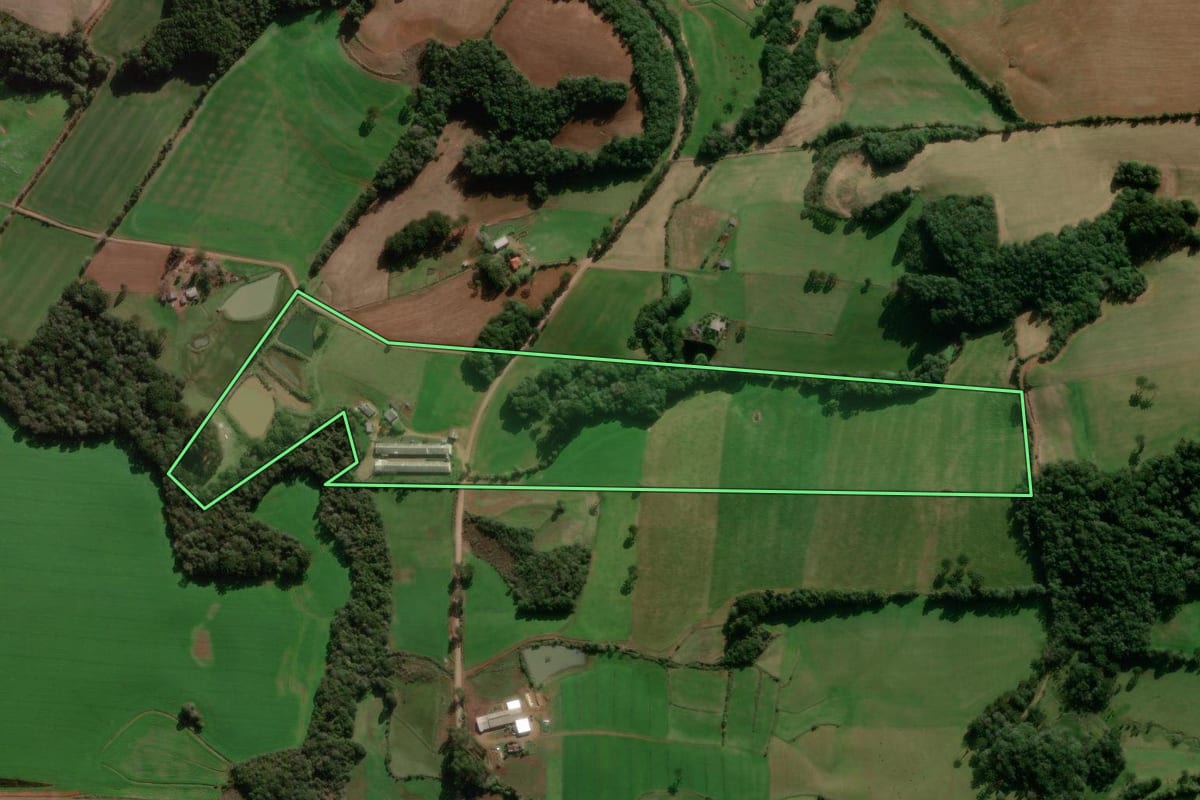 Imagem de satélite do imóvel rural em Caseiros (RS), com o contorno declarado no CAR desenhado por cima.