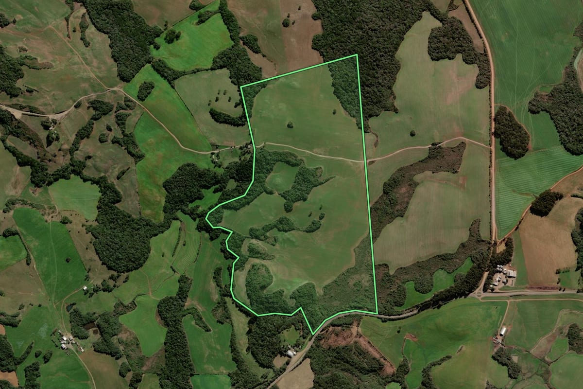 Imagem de satélite do imóvel rural em Caseiros (RS), com o contorno declarado no CAR desenhado por cima.