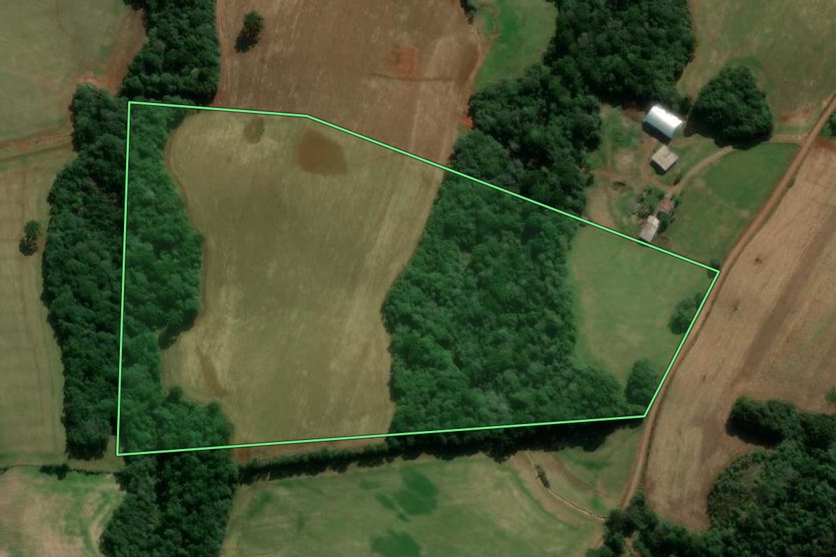 Imagem de satélite do imóvel rural em Caseiros (RS), com o contorno declarado no CAR desenhado por cima.